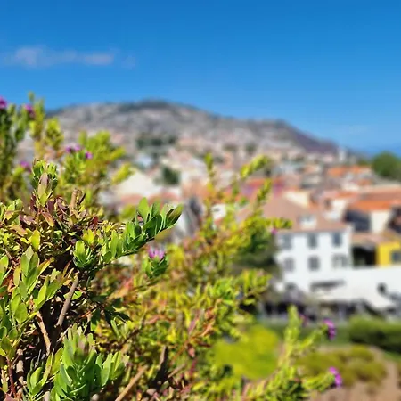 Apartamento Daysy Loft By Lovelystay Funchal (Madeira)