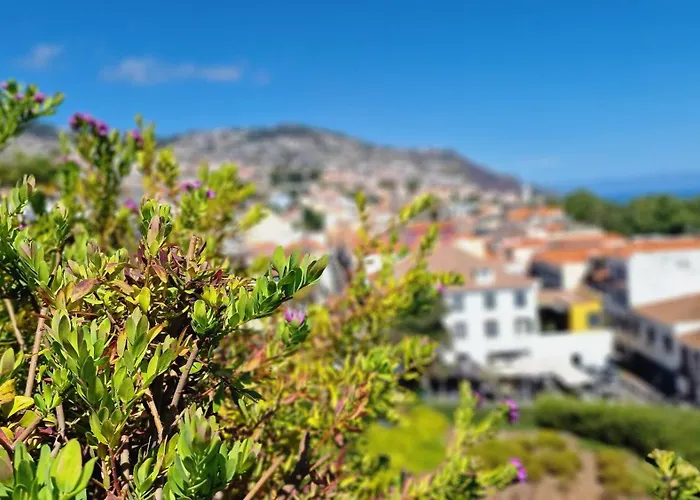 Apartament Daysy Loft By Lovelystay Funchal (Madeira)
